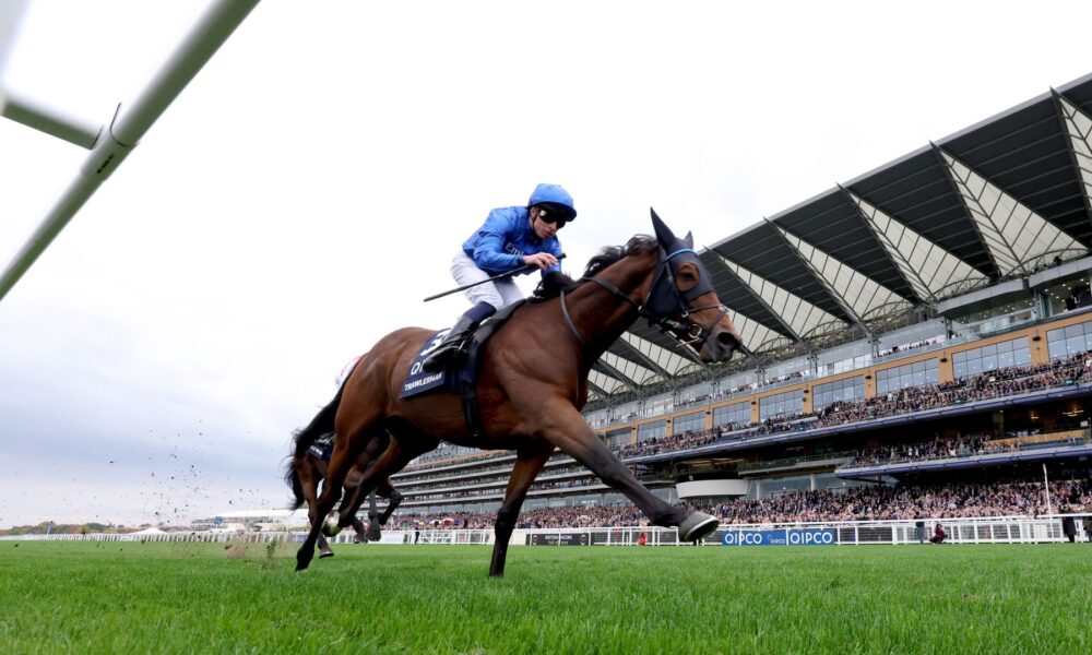 Trawlerman Triumphs in Long Distance Cup at Ascot