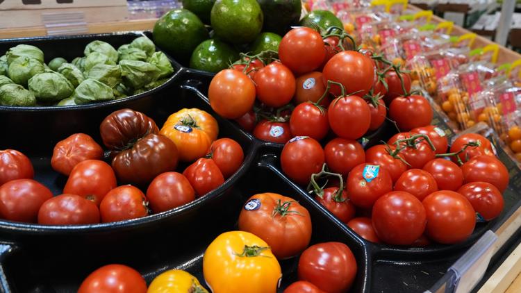 SNAP Benefits to Resume as Government Shutdown Ends